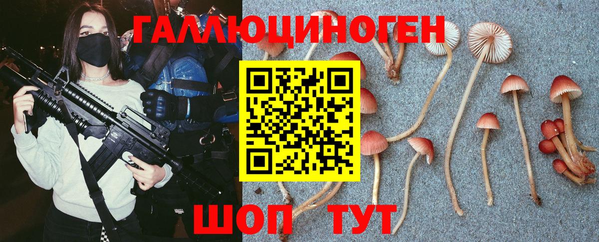 Псилоцибиновые грибы мицелий  Вход с VPN  Галлюциногенные грибы Cubensis  магазин продажи   Сыктывкар 