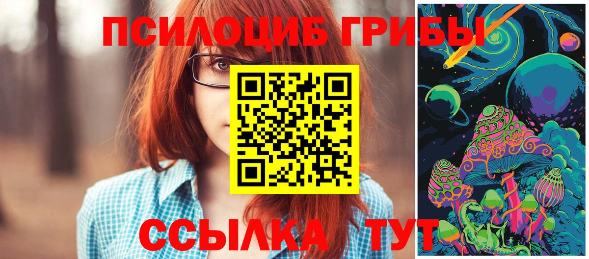Псилоцибиновые грибы Cubensis Сыктывкар